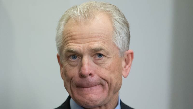 Navarro: Steel tariffs spurred investment