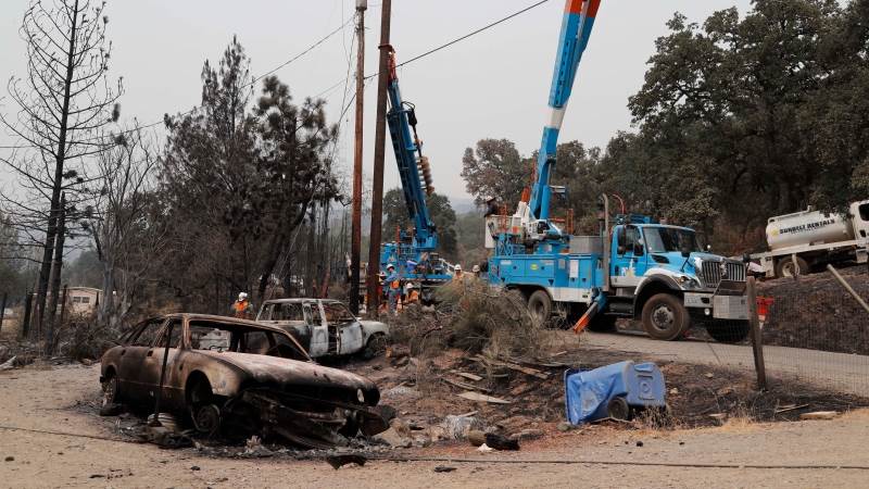 PG&E shares halve as it prepares for bankruptcy