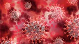 No proof of artificial origins of coronavirus – Vector Institute