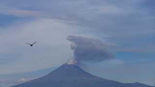 Volcano erupts on Spain’s La Palma island