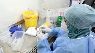 China to test Wuhan blood samples – report