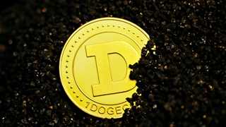 Binance temporarily halts Doge network withdrawals