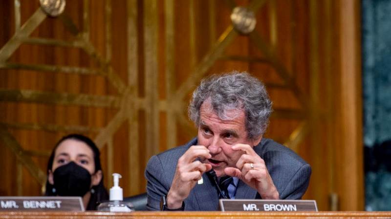 Senator Brown calls for stablecoins safeguards