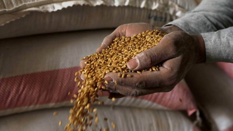 Russia ready to export 30M tons of grain by year-end