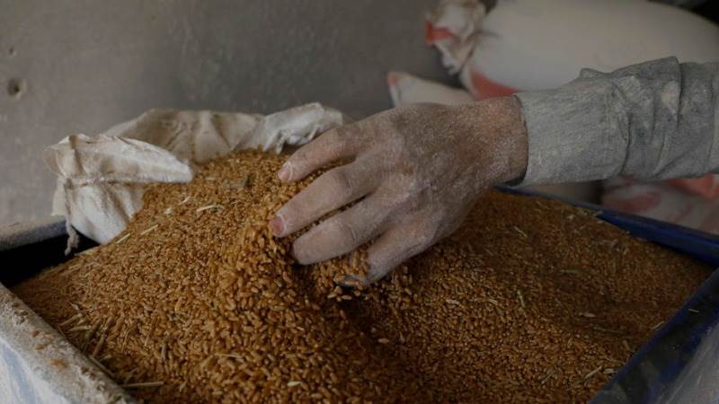 Ukraine warns 1.25M tonnes of grains, oilseeds may go to waste