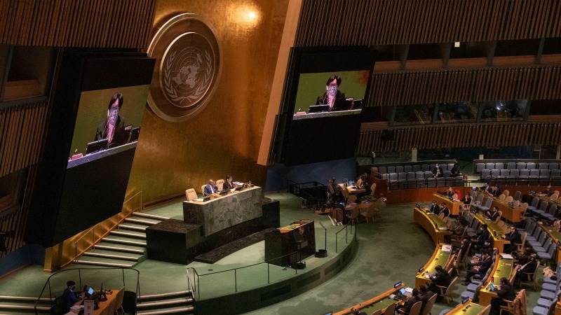 Five countries elected to UN Security Council