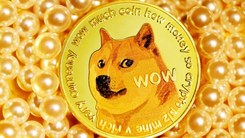 Dogecoin jumps 9% after Musk tweet