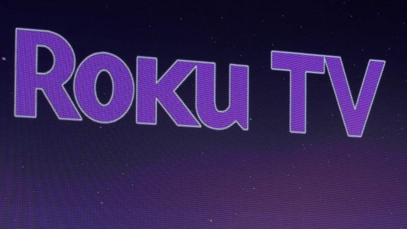 Roku staff speaking about acquisition by Netflix – report