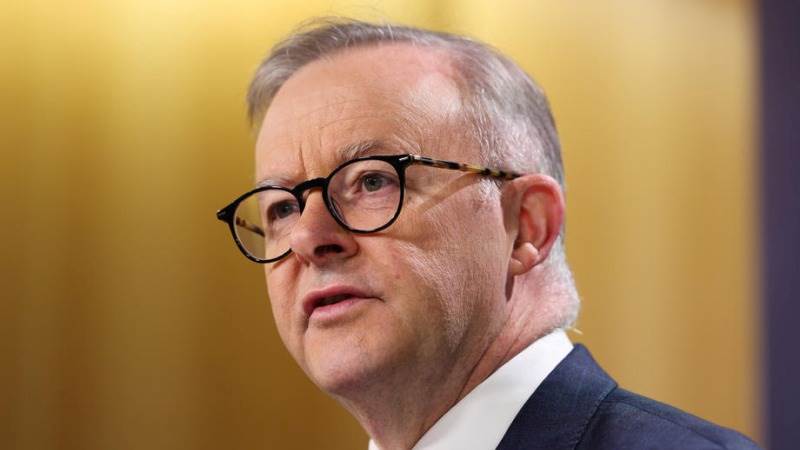 Albanese won’t publically intervene on Assange