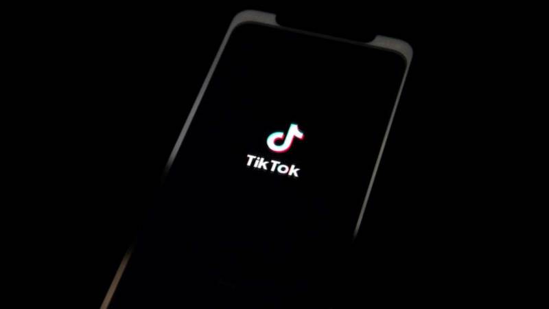 TikTok pledges to align with EU customer rules