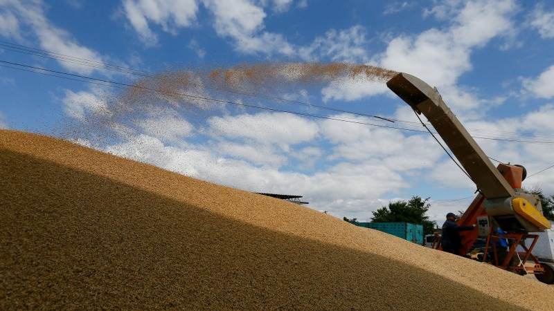 Zelensky: 22M tonnes of grain blocked in Ukraine