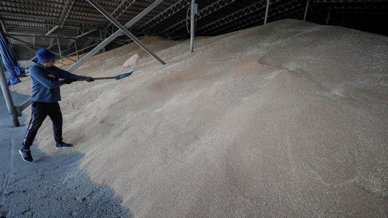 New round of grain talks on July 20-21 – report