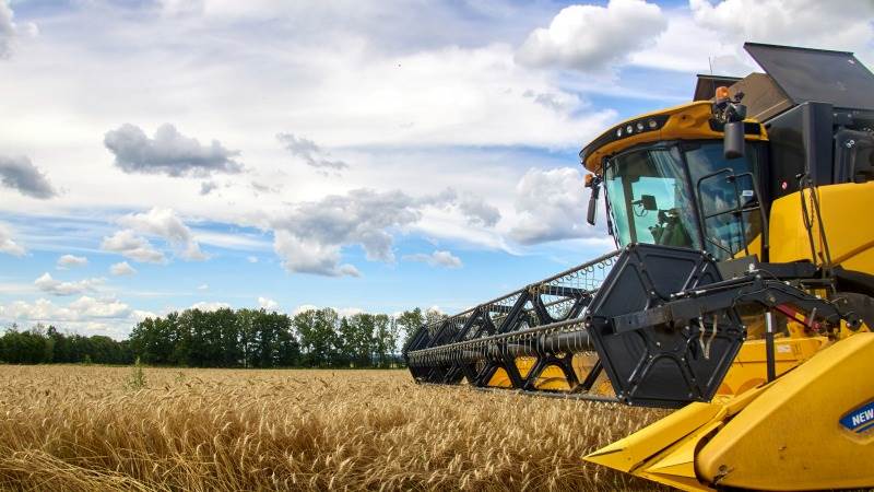 Grain export expected to begin this week – Ukraine