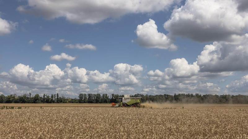 Grain deal may collapse if Russia can’t continue its exports – ministry