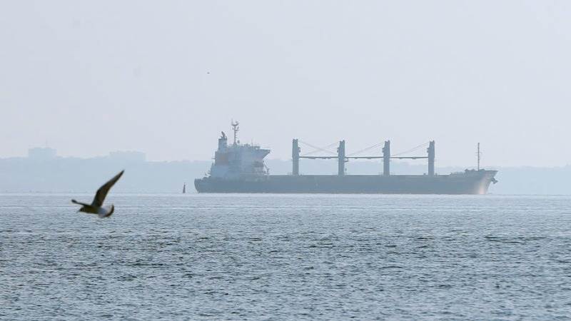 Four additional grain ships leave Ukraine