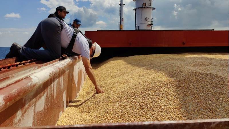 Ukraine’s grain exports up 22.7% in July