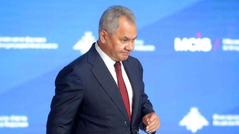 Shoigu, French counterpart talk ZNPP