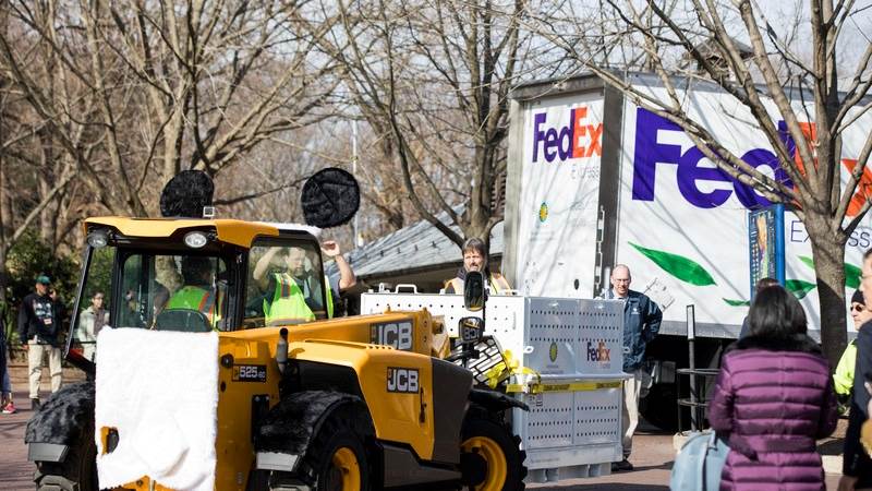 FedEx shares plunge over 16%