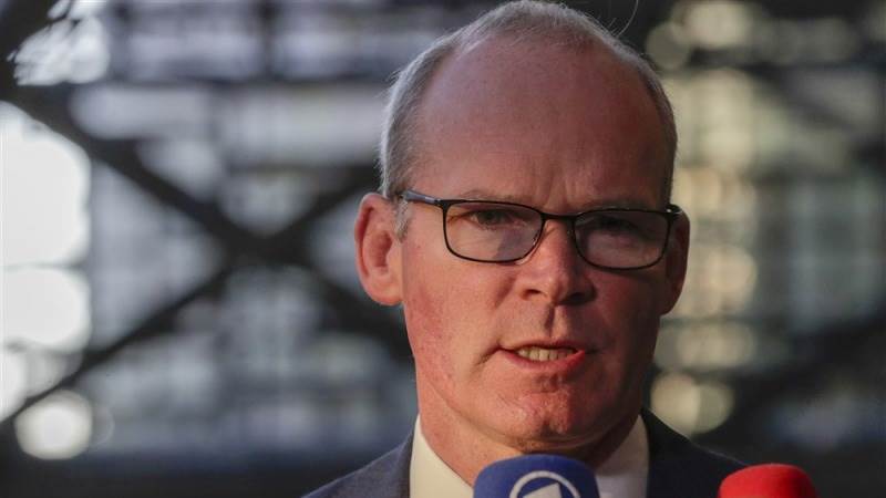 Coveney says N. Ireland deal possible this year