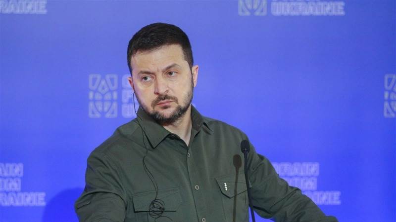 Ukraine committed to global food security, Zelensky says