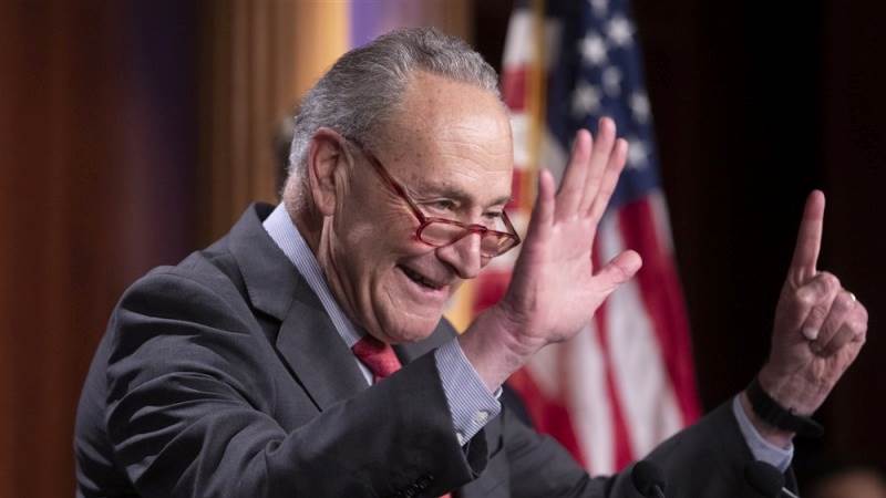 Schumer reelected as US Senate majority leader