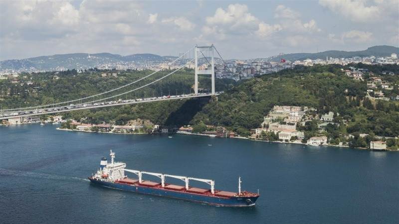 15M tons of food products exported under Black Sea Grain deal – Turkey