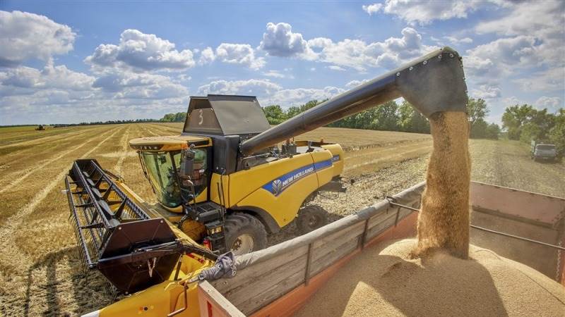 Ukraine’s wheat exports fell by 45% to 9M tons until January