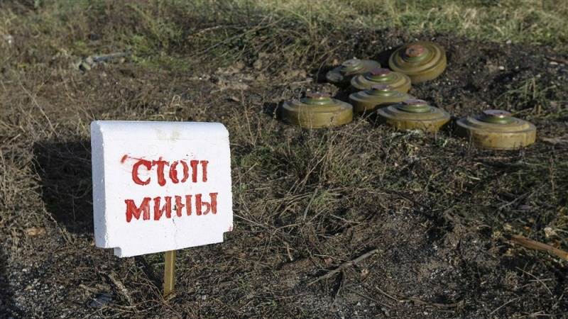 Фолкленды. Часть I. Восточный остров