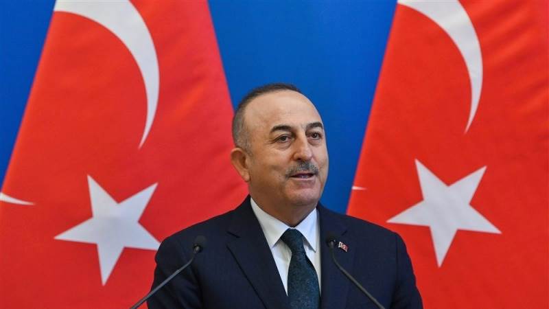 Cavusoglu: Turkey working to extend grain deal