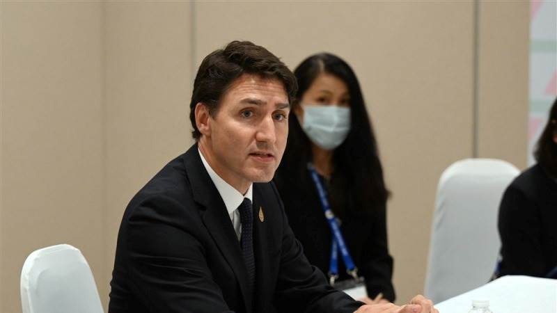 Trudeau orders China election meddling probes