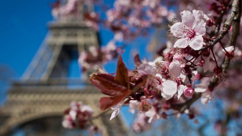 Europe strongly in green after inflation report