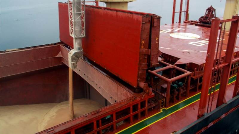 Ukraine grain ship inspection resumes after 2 days