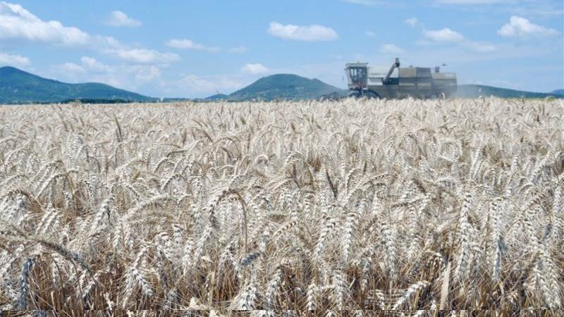 Bulgaria temporarily bans Ukrainian grain imports