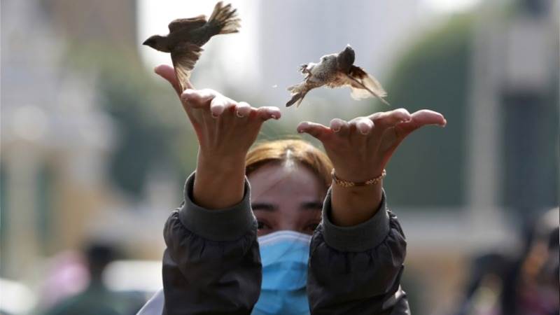 WHO: Bird flu poses ongoing risks to humans