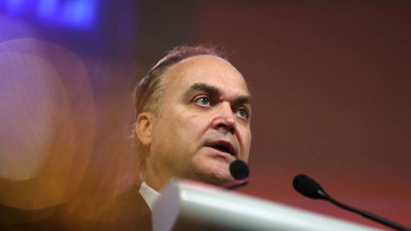 Antonov: Russia to pick own APEC representative