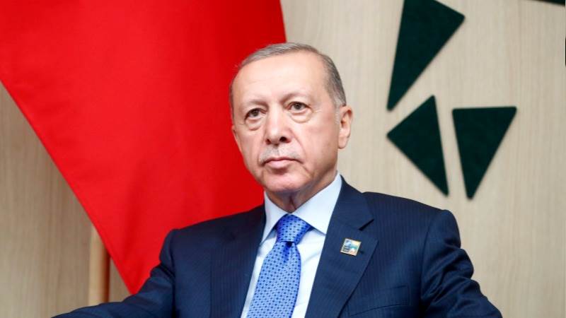 Erdogan: Only Turkey trying to prevent food crisis