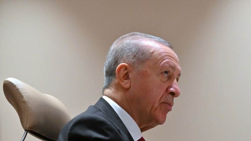 Erdogan: Netanyahu, Musk likely to visit Turkey