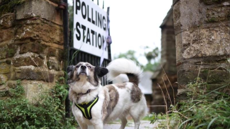 UK Tories lose 2 seats to Labour in by-election