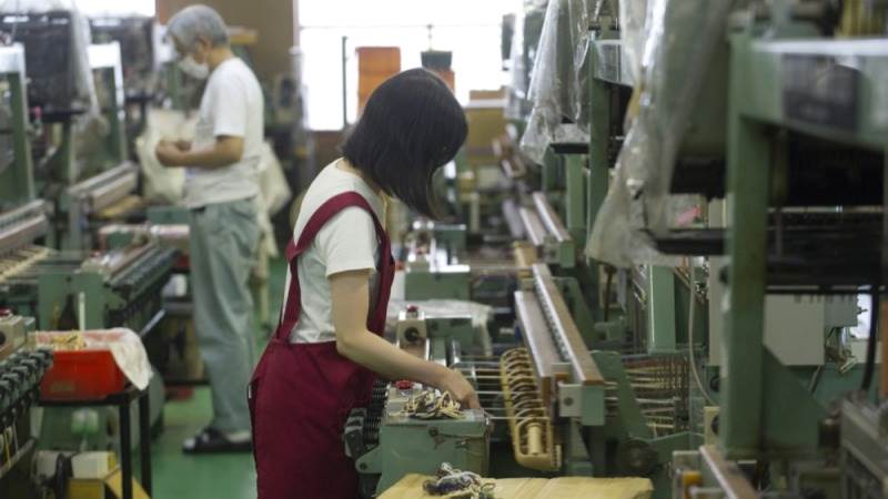 Japan’s producer prices up 0.8% in October