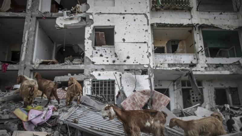 Three-day truce in Gaza allegedly to be reached