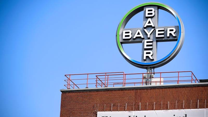 Bayer’s stock slumps over 16% on study halt