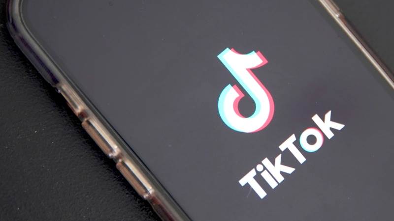 TikTok reportedly working on anti-hate speech tools