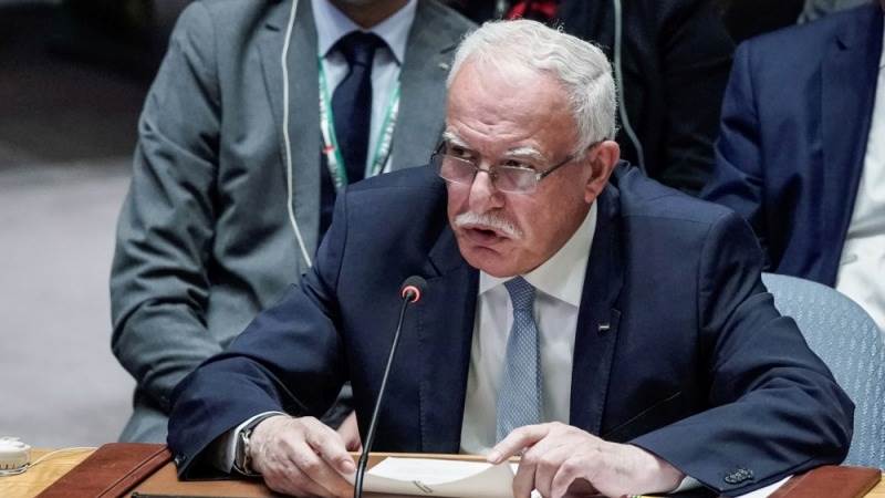 Palestine says UN rights never given to Palestinians