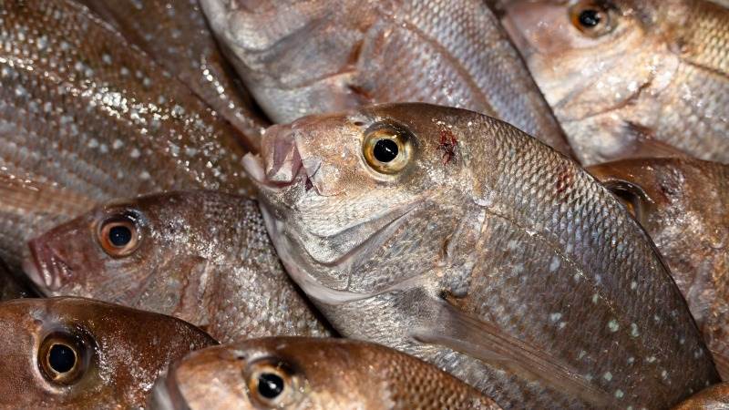 US imposes restrictions on Russian seafood