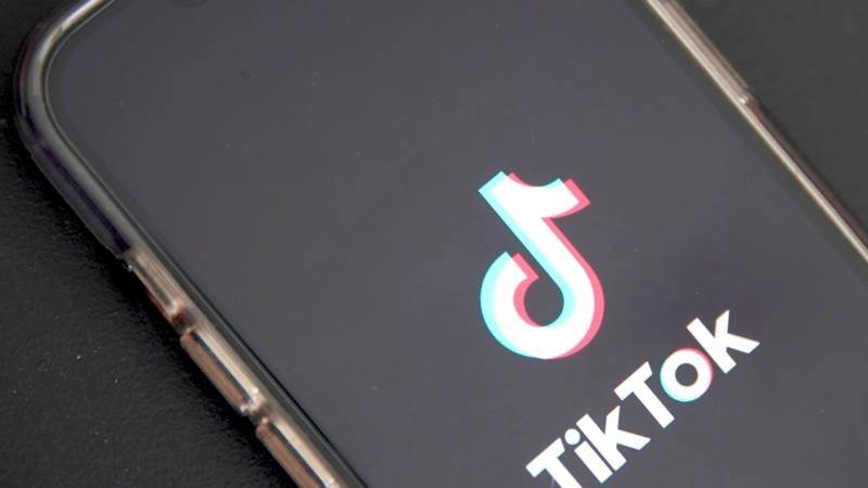 TikTok reportedly faces stall in user growth amid regulatory issues