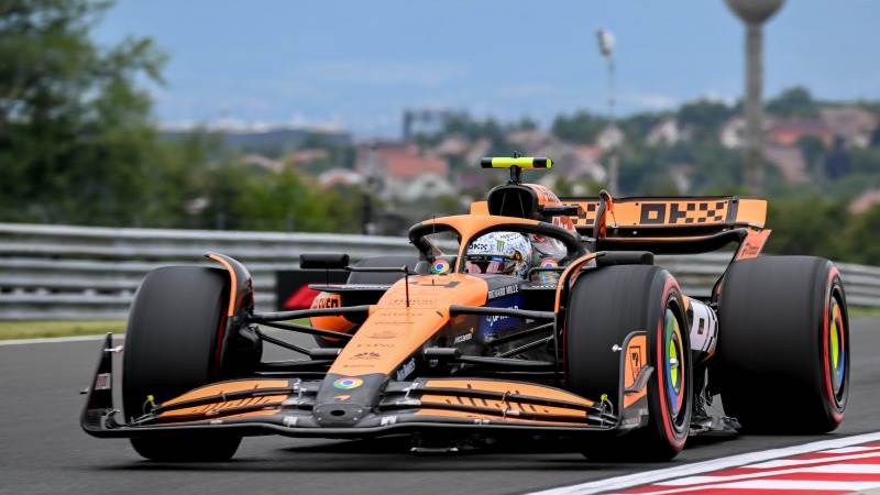 Lando Norris takes pole for Hungarian Grand Prix