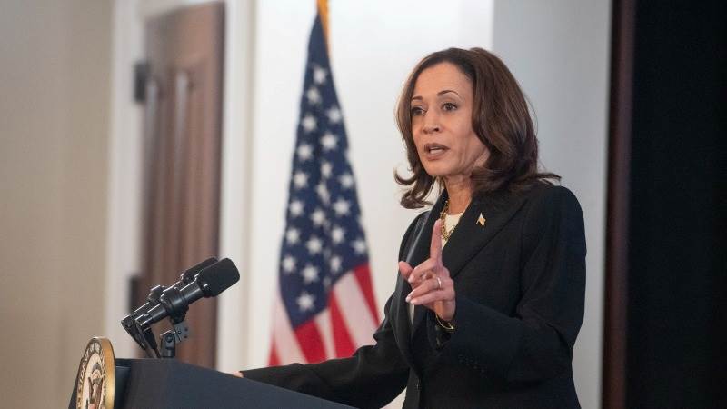 State Dem chairs allegedly vote to endorse Harris