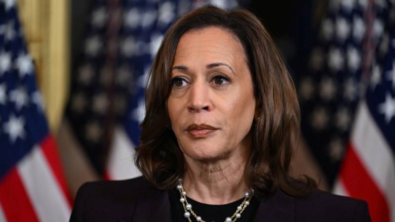 PROFILE: Kamala Harris from VP to Democratic torchbearer in 2024 elections