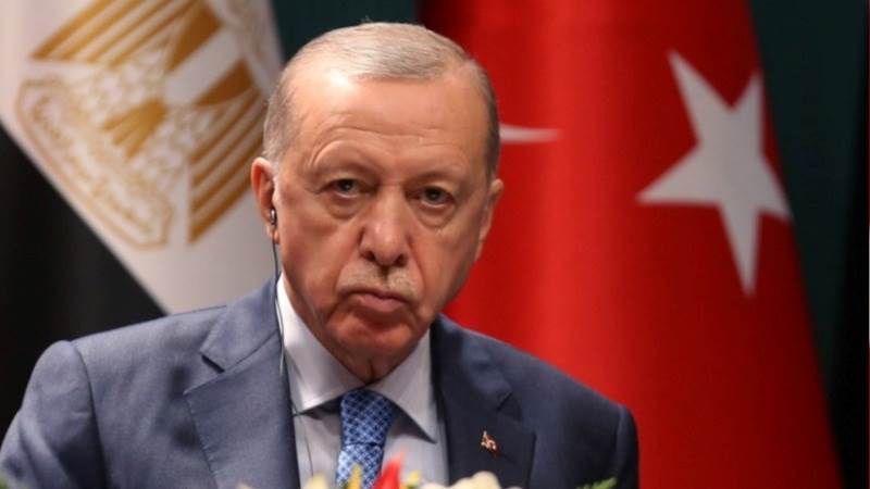 Erdogan condemns Israel’s killing of activist