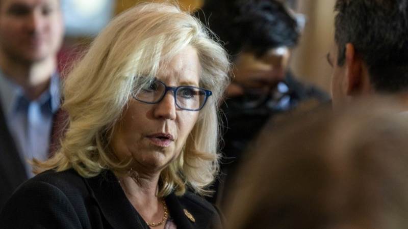 Harris thanks Liz Cheney for endorsement